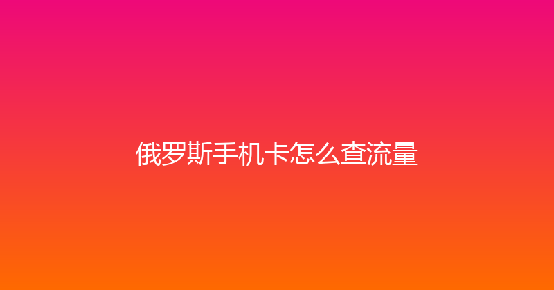 俄罗斯手机卡怎么查流量 