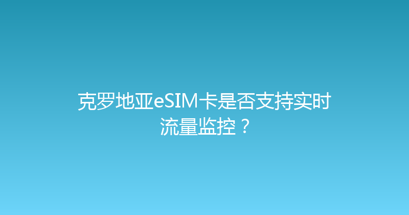 克罗地亚eSIM卡是否支持实时流量监控？ 