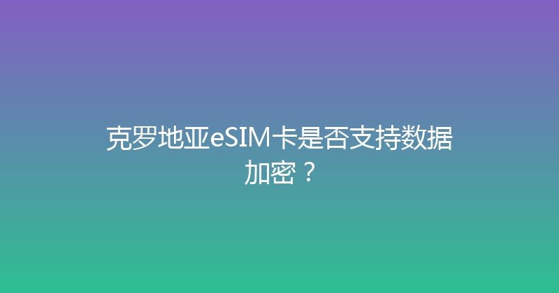 克罗地亚eSIM卡是否支持数据加密？ 