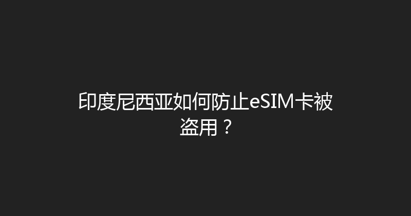 印度尼西亚如何防止eSIM卡被盗用？ 