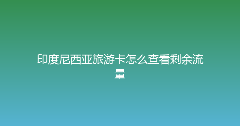 印度尼西亚旅游卡怎么查看剩余流量 