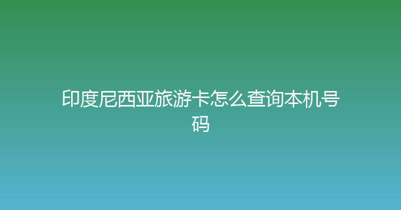 印度尼西亚旅游卡怎么查询本机号码 
