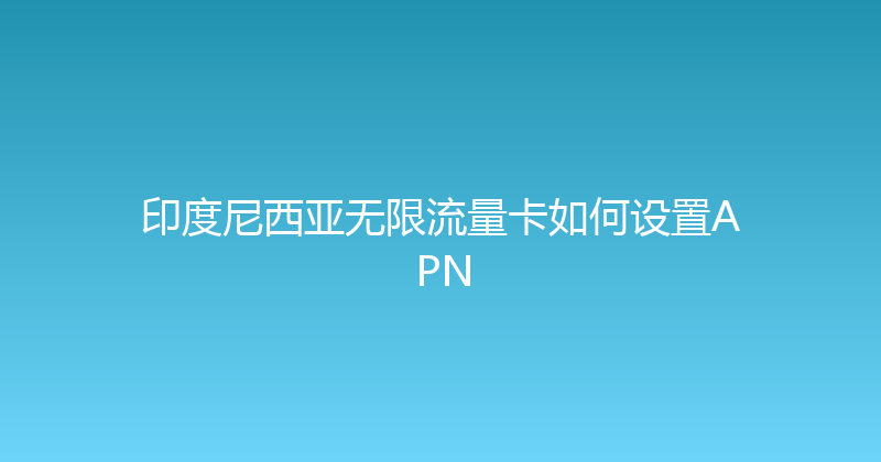 印度尼西亚无限流量卡如何设置APN 