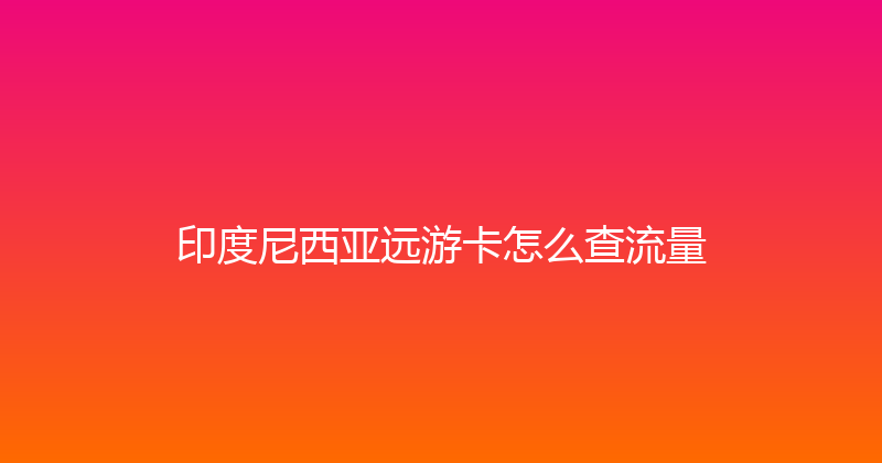 印度尼西亚远游卡怎么查流量 