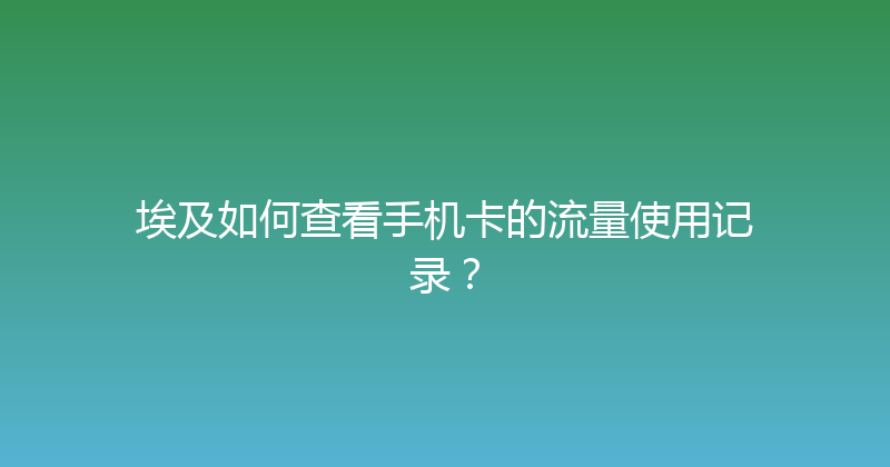 埃及如何查看手机卡的流量使用记录？ 
