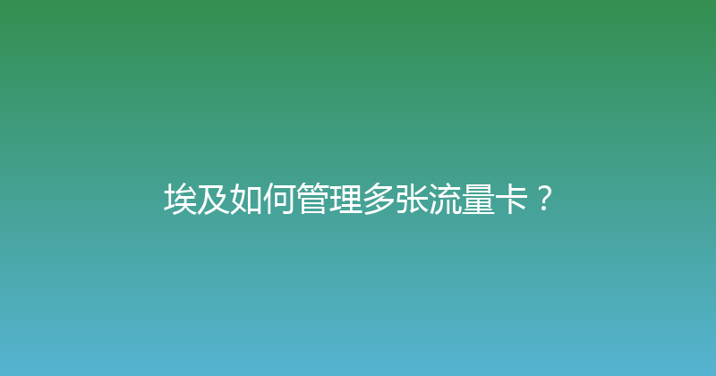 埃及如何管理多张流量卡？ 
