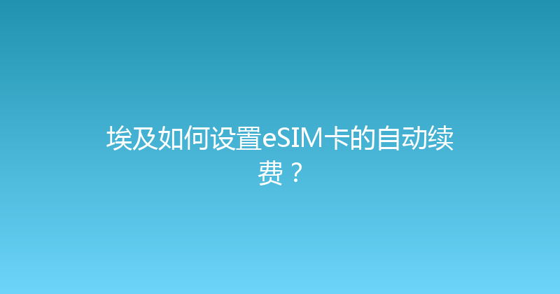埃及如何设置eSIM卡的自动续费？ 