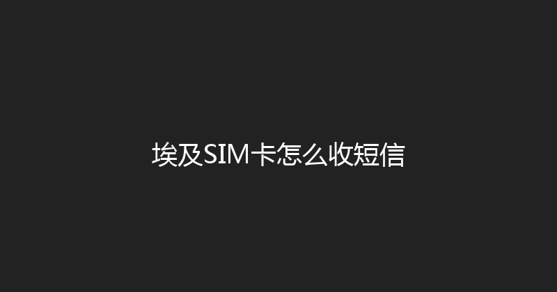 埃及SIM卡怎么收短信 