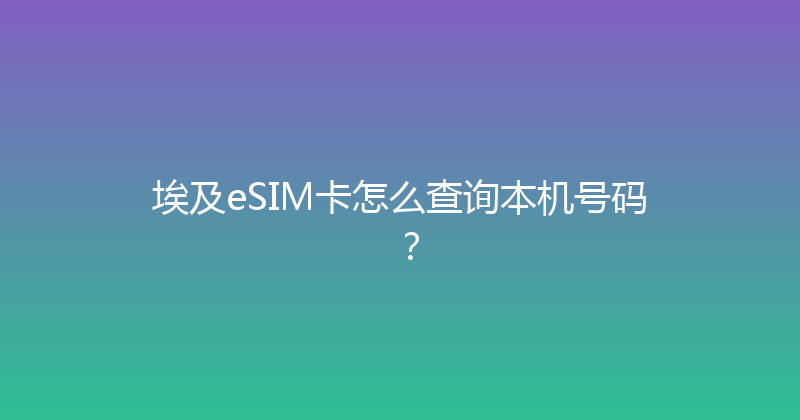 埃及eSIM卡怎么查询本机号码？ 