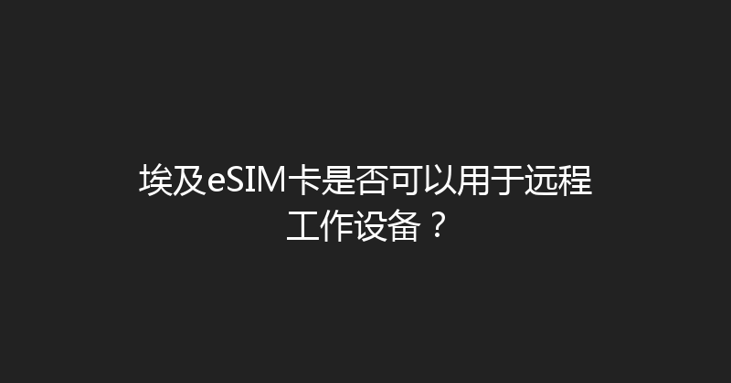 埃及eSIM卡是否可以用于远程工作设备？ 