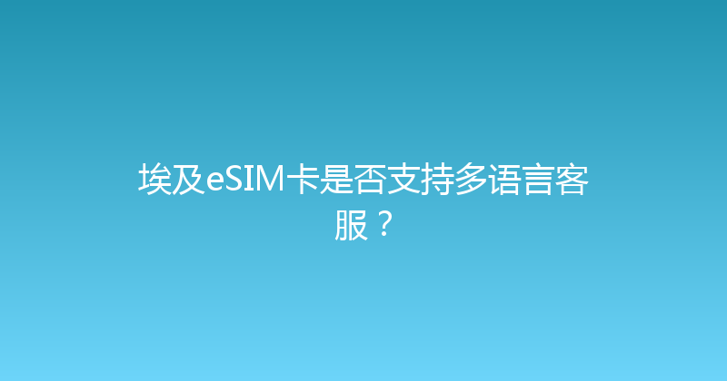 埃及eSIM卡是否支持多语言客服？ 