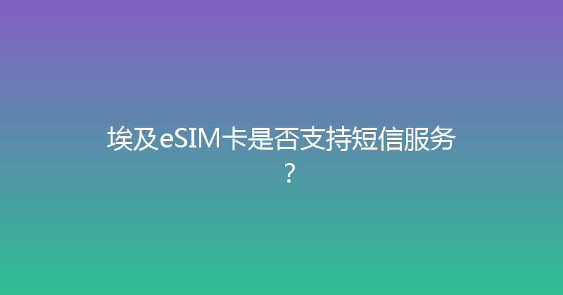 埃及eSIM卡是否支持短信服务？ 
