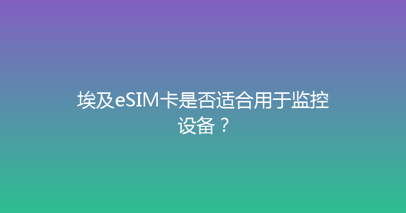 埃及eSIM卡是否适合用于监控设备？ 