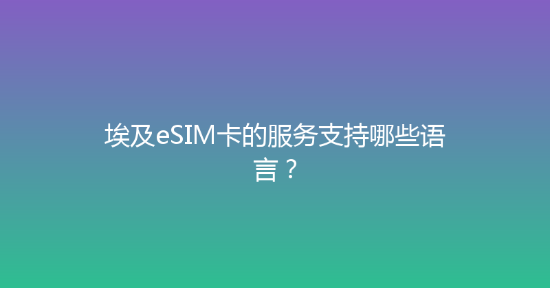 埃及eSIM卡的服务支持哪些语言？ 
