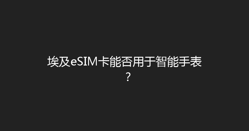 埃及eSIM卡能否用于智能手表？ 