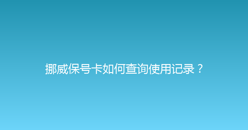挪威保号卡如何查询使用记录？ 