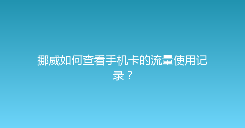挪威如何查看手机卡的流量使用记录？ 