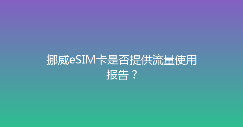 挪威eSIM卡是否提供流量使用报告？ 