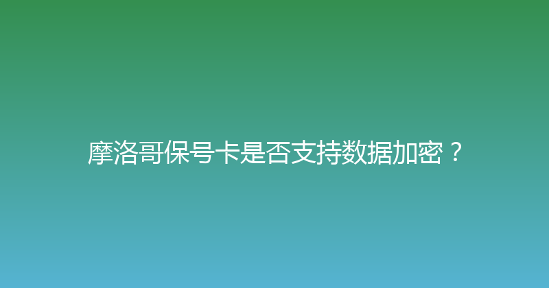 摩洛哥保号卡是否支持数据加密？ 