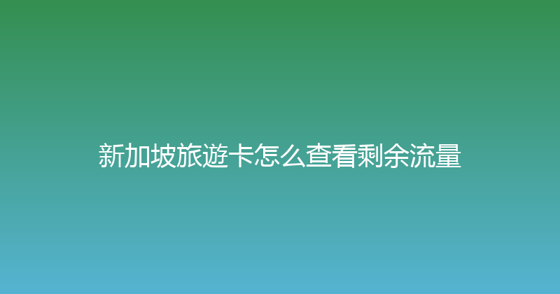 新加坡旅遊卡怎么查看剩余流量 