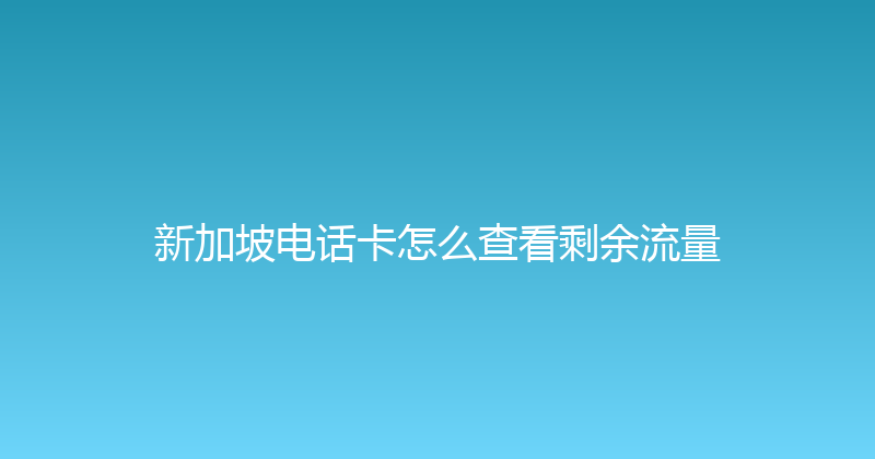 新加坡电话卡怎么查看剩余流量 