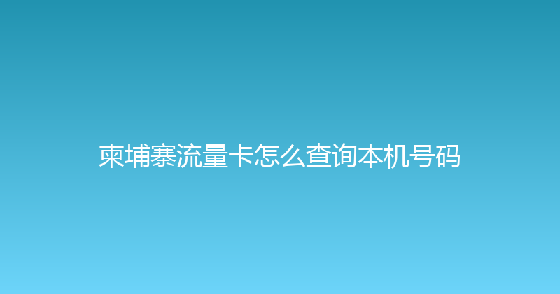 柬埔寨流量卡怎么查询本机号码 