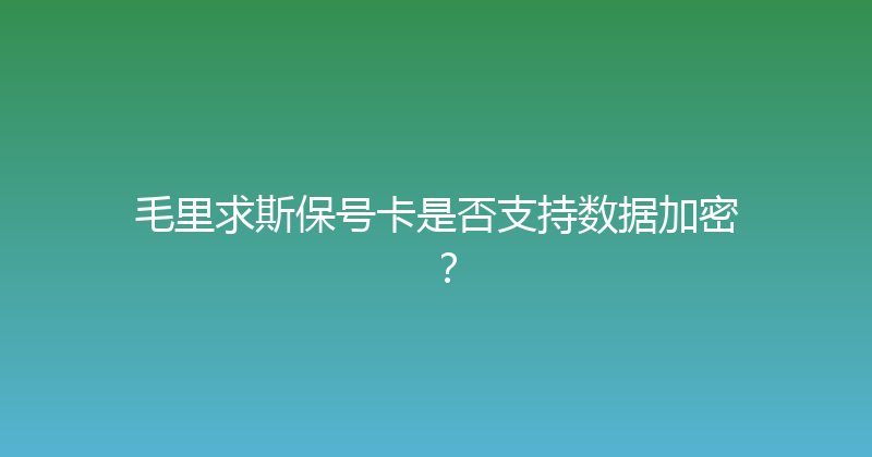 毛里求斯保号卡是否支持数据加密？ 