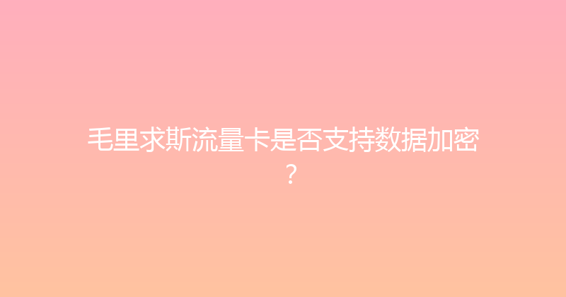 毛里求斯流量卡是否支持数据加密？ 