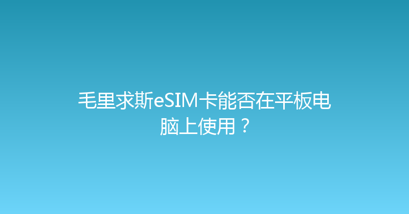 毛里求斯eSIM卡能否在平板电脑上使用？ 