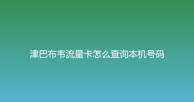 津巴布韦流量卡怎么查询本机号码 