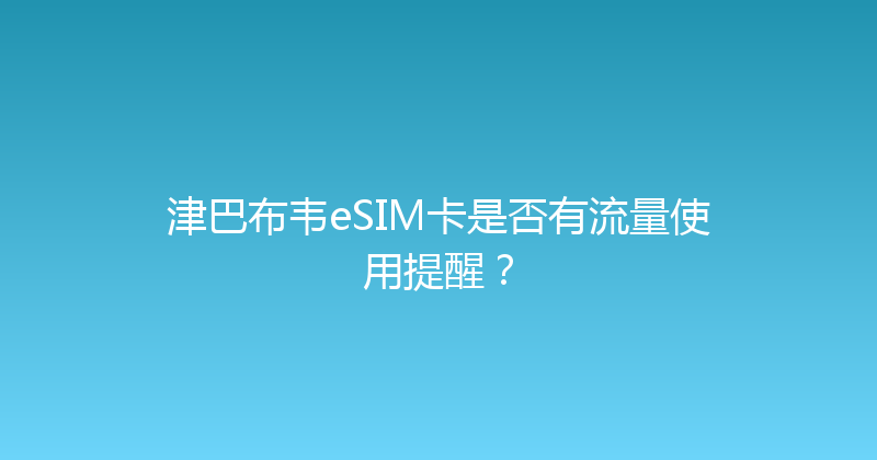 津巴布韦eSIM卡是否有流量使用提醒？ 