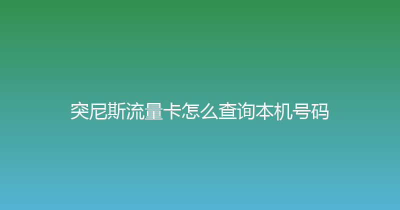 突尼斯流量卡怎么查询本机号码 