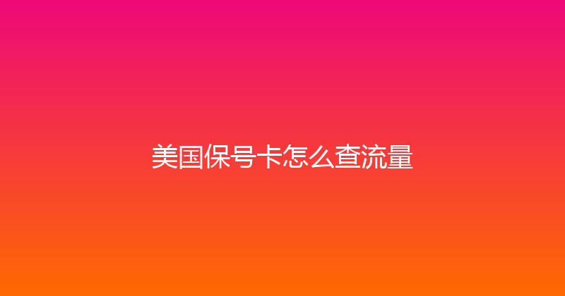 美国保号卡怎么查流量 