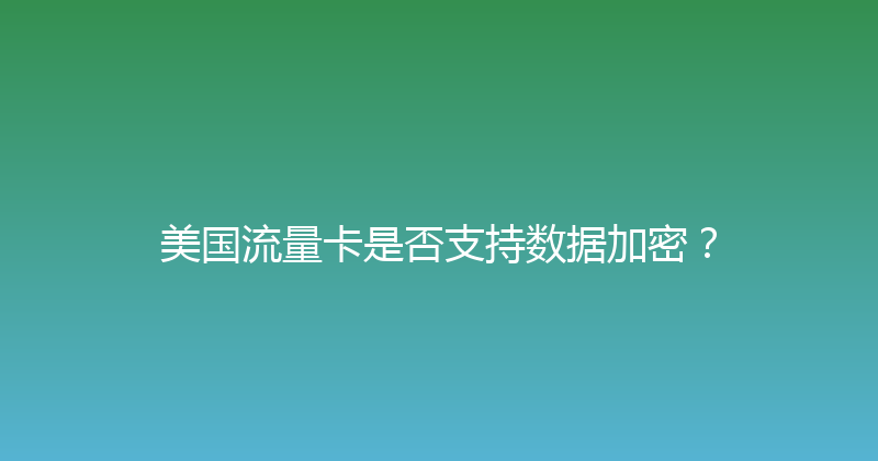 美国流量卡是否支持数据加密？ 
