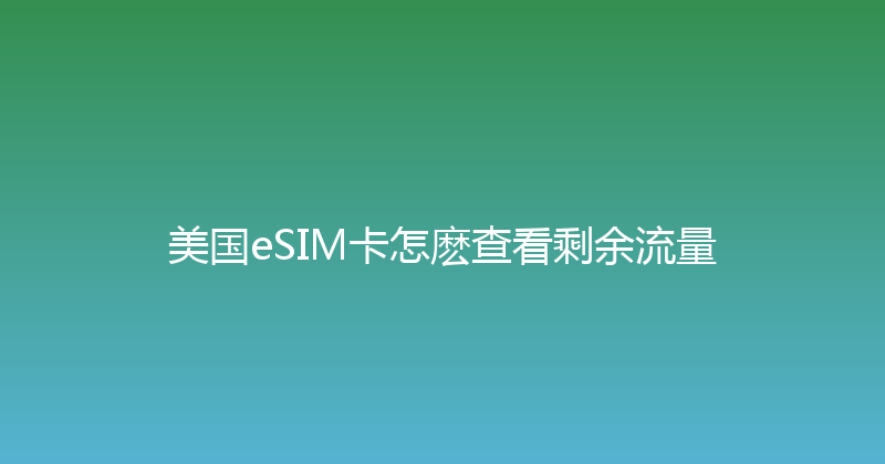 美国eSIM卡怎麽查看剩余流量 