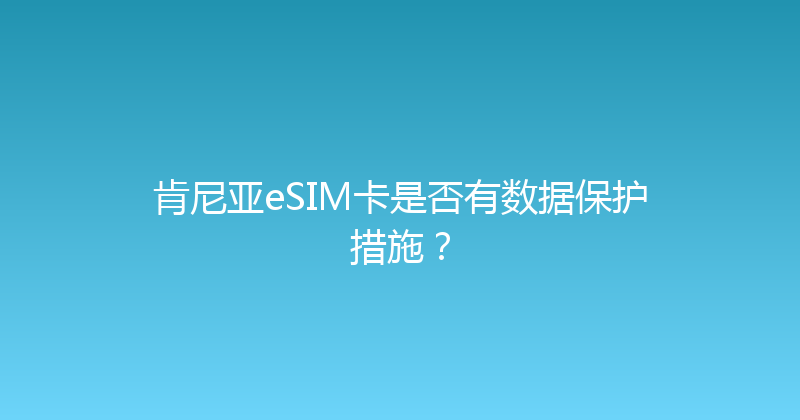 肯尼亚eSIM卡是否有数据保护措施？ 