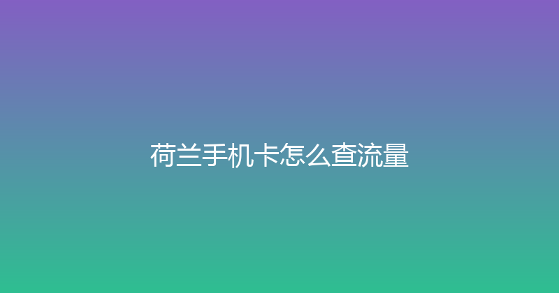 荷兰手机卡怎么查流量 