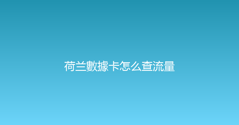 荷兰數據卡怎么查流量 